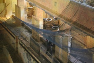 69cash_war_race_2016_249    